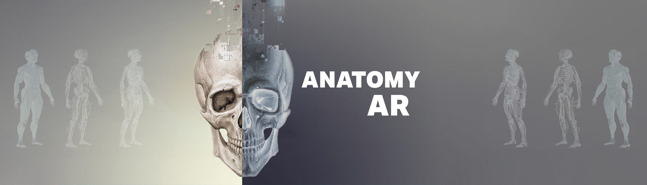 Human Anatomy AR IMXD Lab